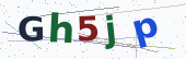 Comment Captcha
