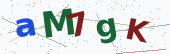 Comment Captcha