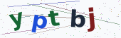 Comment Captcha