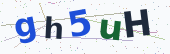 Comment Captcha
