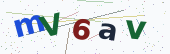 Comment Captcha
